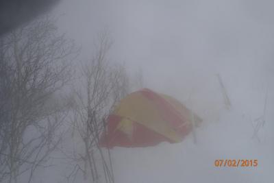 post-4990-0-63410000-1432420669_thumb.jp