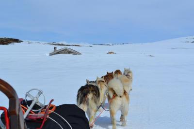 post-7299-0-45180500-1430727777_thumb.jp