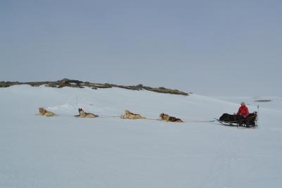 post-7299-0-47807600-1430727368_thumb.jp