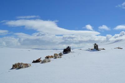 post-7299-0-67689100-1430732173_thumb.jp