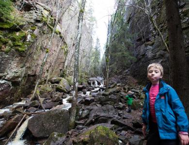 post-7957-0-01990000-1431362642_thumb.jp