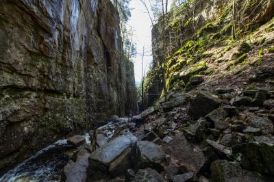 post-7957-0-28172600-1431362496_thumb.jp