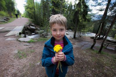 post-7957-0-39401700-1431362978_thumb.jp