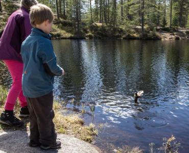 post-7957-0-49164100-1431362199_thumb.jp