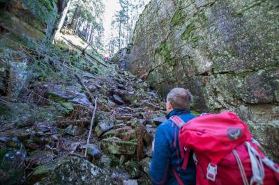 post-7957-0-67805300-1431362286_thumb.jp