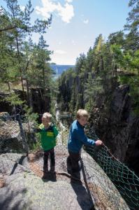 post-7957-0-74943000-1431362228_thumb.jp