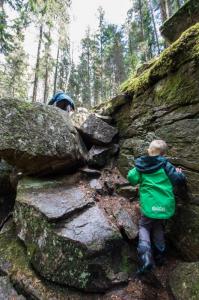 post-7957-0-90550700-1431362898_thumb.jp