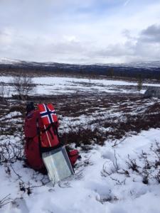 post-8351-0-86081300-1431890629_thumb.jp