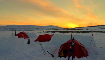 post-8462-0-58171000-1431893152_thumb.jp