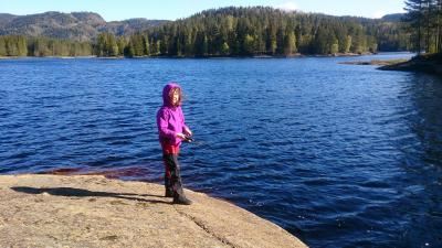 post-8488-0-24457800-1432413903_thumb.jp