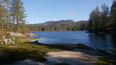 post-8488-0-64861300-1432413923_thumb.jp