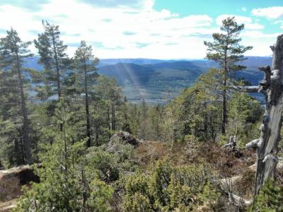 post-9055-0-15515400-1431642980_thumb.jp