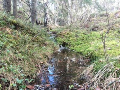 post-9055-0-41321400-1431642974_thumb.jp