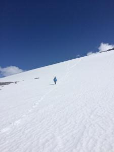 post-9562-0-02684100-1433062718_thumb.jp