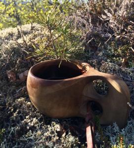 post-9562-0-55336100-1432061406_thumb.jp