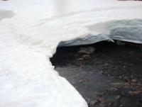 post-1073-0-55002800-1338795870_thumb.jp