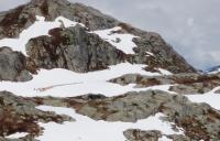 post-1073-0-70322600-1338795868_thumb.jp