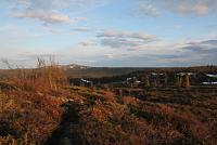 post-1532-0-74288500-1338940871_thumb.jp