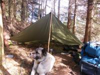 post-8832-0-87791100-1339079107_thumb.jp