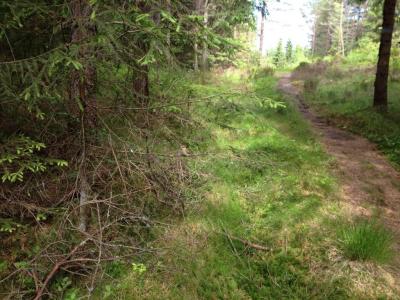 post-11507-0-30162900-1371682630_thumb.j