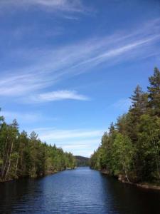 post-11507-0-41209400-1371682780_thumb.j