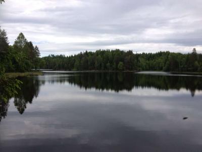 post-11507-0-71013300-1371682519_thumb.j