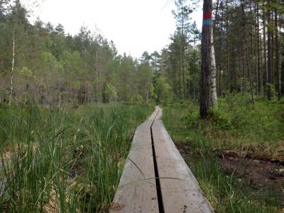 post-11507-0-79750500-1371682800_thumb.j