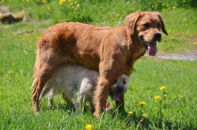 post-11749-0-03779200-1371838773_thumb.j