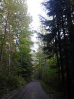 post-11774-0-09083700-1370292951_thumb.j