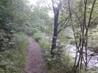 post-11774-0-23547200-1370292979_thumb.j