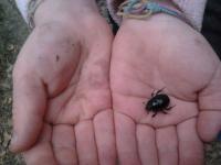 post-11774-0-39843600-1370209445_thumb.j