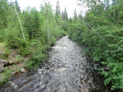 post-11911-0-64358300-1372608591_thumb.j