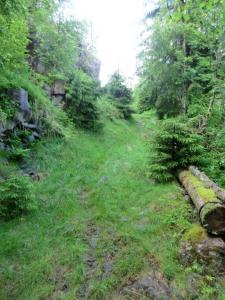 post-11911-0-69622500-1372608677_thumb.j