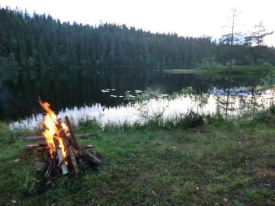 post-11911-0-75205300-1372608444_thumb.j