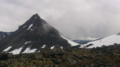 post-12082-0-24640000-1372625552_thumb.j