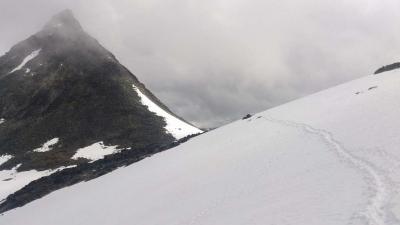 post-12082-0-41553300-1372625569_thumb.j