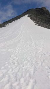 post-12082-0-43577600-1372625635_thumb.j