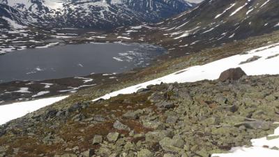 post-12082-0-47661700-1372626176_thumb.j