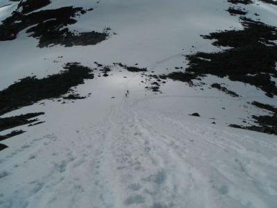 post-12082-0-72864100-1372625684_thumb.j