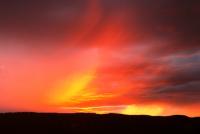 post-12639-0-08247800-1370897482_thumb.j