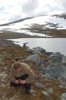 post-12659-0-34408700-1371405152_thumb.j