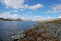 post-12659-0-45573600-1371405443_thumb.j