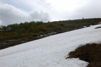 post-12659-0-55627200-1371407309_thumb.j