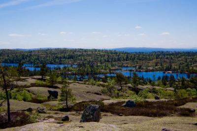 post-3118-0-27349900-1372616110_thumb.jp