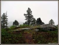 post-4444-0-84850900-1370197129_thumb.jp