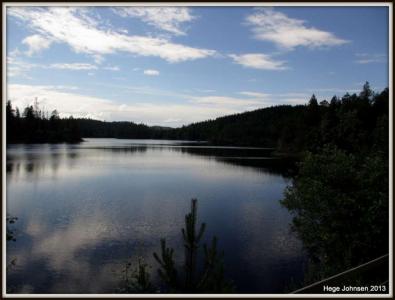 post-4444-0-89059300-1372612430_thumb.jp