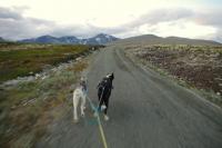 post-8614-0-24770700-1371467294_thumb.jp