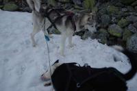 post-8614-0-54266700-1371467378_thumb.jp