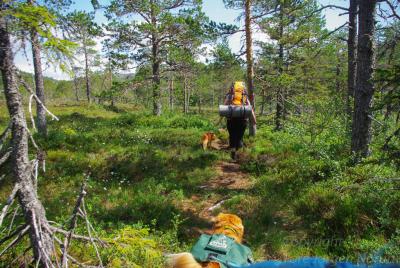 post-9370-0-27376300-1372610177_thumb.jp