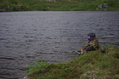 post-9370-0-58300700-1372610187_thumb.jp